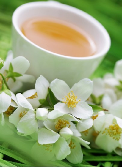 茗茶